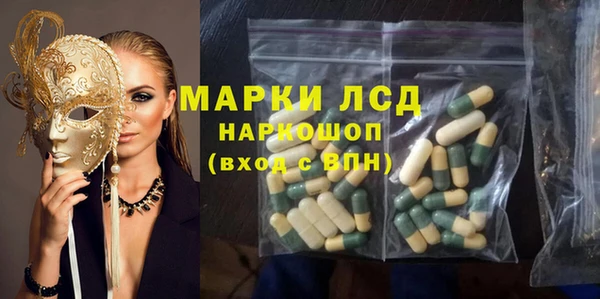 гашик Осташков