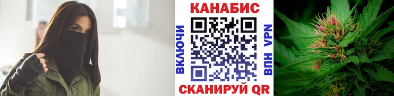 Шишки марихуана план  как найти   Биробиджан 
